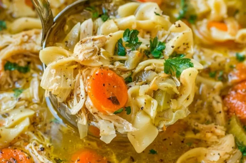 Bowl of homemade chicken noodle soup with vegetables and herbs
