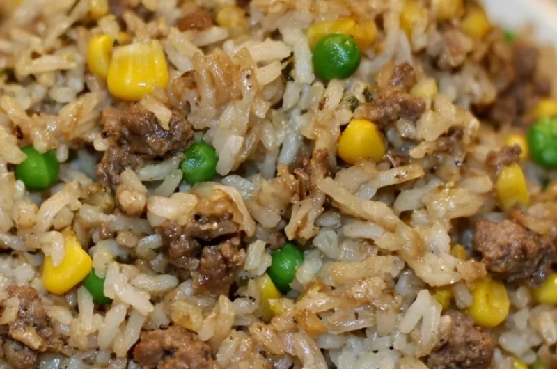 Homemade dirty rice with ground beef served in a bowl